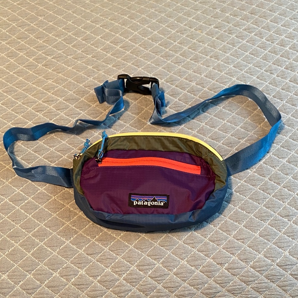 Patagonia Ultralight Black Hole Mini Hip Pack - blue and purple